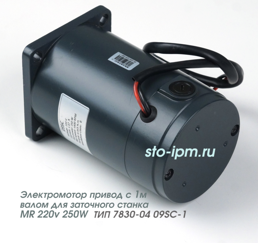 Мотор электрический станка заточного ТИП 7830-04 09SC-1 вид сзади